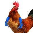 thumbnail image 4 of Accesorios Brazo Avícola 3 PCS Toy Pollo Portátil Impreso en 3D Juguete para Regalo () Azul, 4 of 9