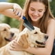 thumbnail image 3 of Peine Antipulgas Para Perros Y Gatos. Dientes Suaves De Acero Inoxidable. Herramienta Para Eliminar Pulgas Y Cuidar El Pelaje De Forma Regular., 3 of 5