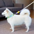 thumbnail image 4 of Dog Collar and Leash Set | Blue Dog Collar | Durable Nylon for All Size Dogs Everyday Walks, 4 of 6