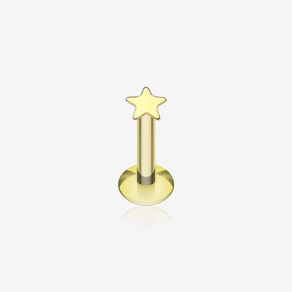 Golden Dainty Star Top Internally Threaded Labret