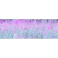 thumbnail image 3 of Frank, Assaf 18x9 Black Modern Framed Museum Art Print Titled - Chamaenerion flowers, 3 of 5