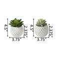 thumbnail image 2 of SET OF 2 Pineapple Pot Succ, 2 of 2