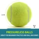 thumbnail image 3 of Pelotas de Tenis INSUM Paquete de 12 Extra Duty 6 cm con Bolsa, 3 of 7