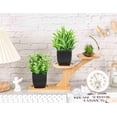 thumbnail image 3 of 2 Pack Fake Plants Small Artificial Potted Plants Faux Plants Black Bathroom Accessories for Home Office Desk Bathroom Decor Indoor, 3 of 7