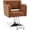 Brown, variant on BarberPub Classic Swivel Salon Chair, Hydraulic Barber Chair