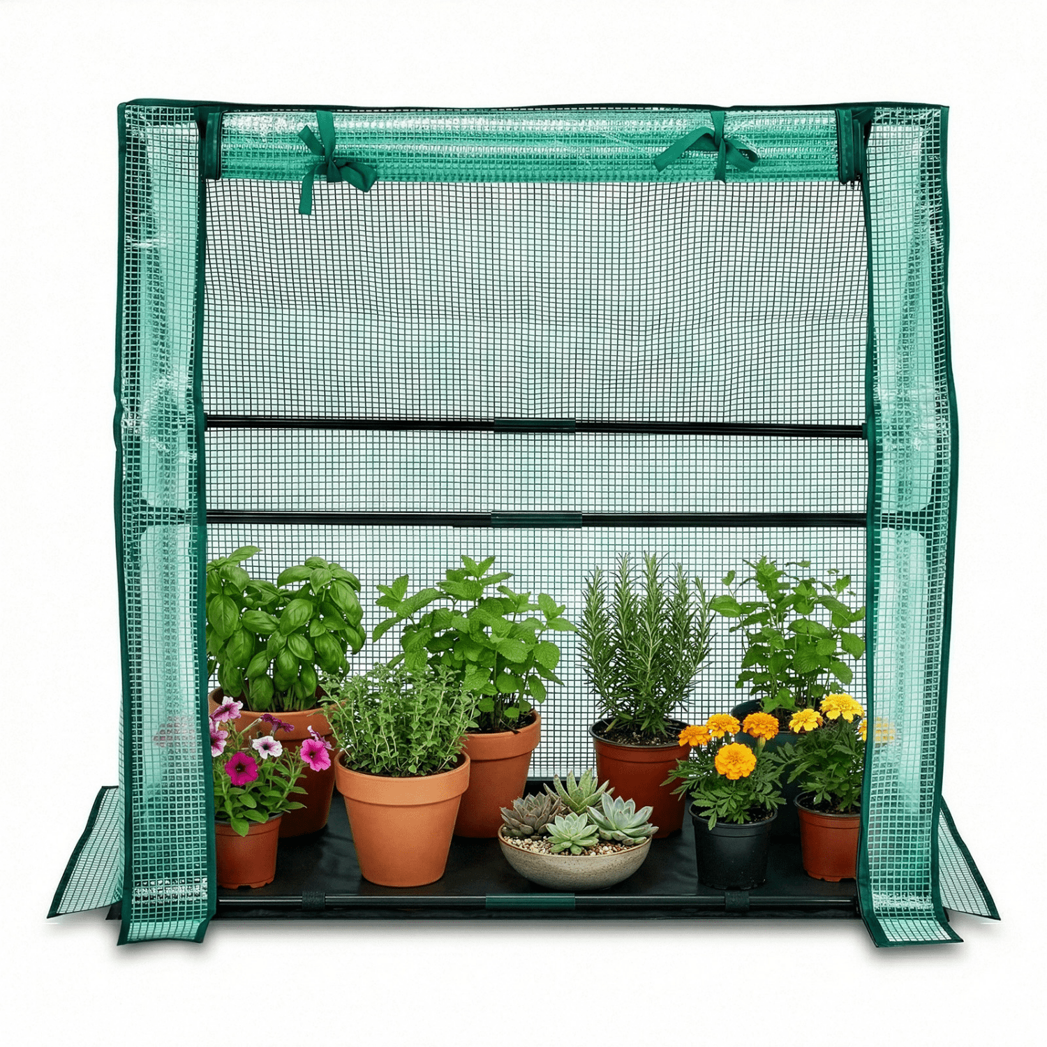 Hassch Indoor/Outdoor Mini Greenhouse, Small Green House with PE Cover and Roll-Up Zippered Door for Garden, Patio, Backyard, Green