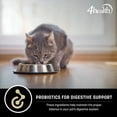 4health-with-wholesome-grains-all-life-stages-dry-cat-food-25-lb-walmart