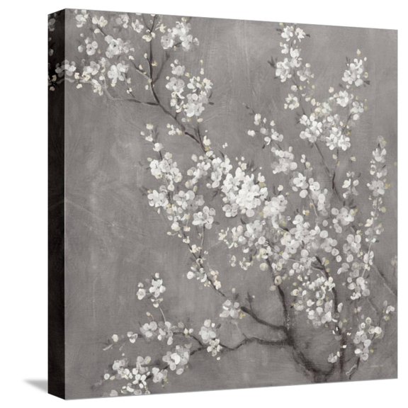 Art.com White Cherry Blossoms II on Grey Crop Stretched Canvas Print Wall Art by Danhui Nai, 16" x 16"