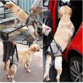 thumbnail image 2 of Dog Lifting Harness, Dog Support Harness For Back Legs, Soft Dog Support Sling For Injured Disabled Dogs, 2 of 5