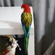 thumbnail image 5 of Estatua de loro de simulación Soledad Accesorio fotografía de loros artificiales grandes Guacamayo para césped, 5 of 10