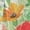 Bright Blossom, variant on Womens 2Piece Outfit Retro 70s 80s Dressy Loungewear Fashion 2026 Linen Sets for Women Plus Size 3/4 Sleeve Button Down Shirt and Wide Leg Pant,Bright Blossom