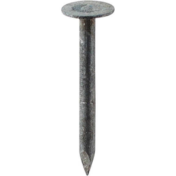 Grip Rite 2EGRFG 2-Inch Electro-Galvanized Roofing Nail, 50 Pounds, No Size, No Color