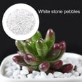 thumbnail image 3 of Xinyolin 1 Set Stone Decor Multi-use Smooth Surface Natural Irregular Shape Stone Chip Decor for Handicrafts, 3 of 8