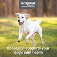 thumbnail image 6 of Nutramax Cosequin for Dogs Joint Health Supplement, Contains Glucosamine for Dogs, Plus Chondroitin, MSM and HA, Supports Healthy Joints, Chewable Tablets, 150 Count, 6 of 7