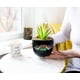 thumbnail image 4 of Planta decorativa artificial con vegetación artificial Silver Buffalo, 4 of 7