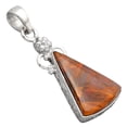 thumbnail image 3 of Natural Pietersite - Namibia 925 Sterling Silver Pendant Jewelry P-1220 SDP154754, 3 of 5