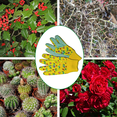 thumbnail image 4 of Guantes de jardín para niños dobles Guantes de trabajo en el jardín de seguridad para niños antideslizantes Niños Niñas Adepaton Botas y Guantes, 4 of 5