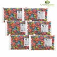 thumbnail image 1 of JOLLY RANCHER Gummies Original Flavours Candy 2.5kg/5.51Lbs (6 PACK), 1 of 4