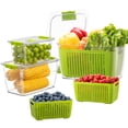 thumbnail image 1 of Organizador de nevera Fresh Container LUXEAR Produce Saver, paquete de 3, 1 of 9