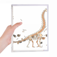 thumbnail image 1 of Dinosaur Grass Huge Bones Notebook Loose Diary Refillable Journal Stationery, 1 of 3
