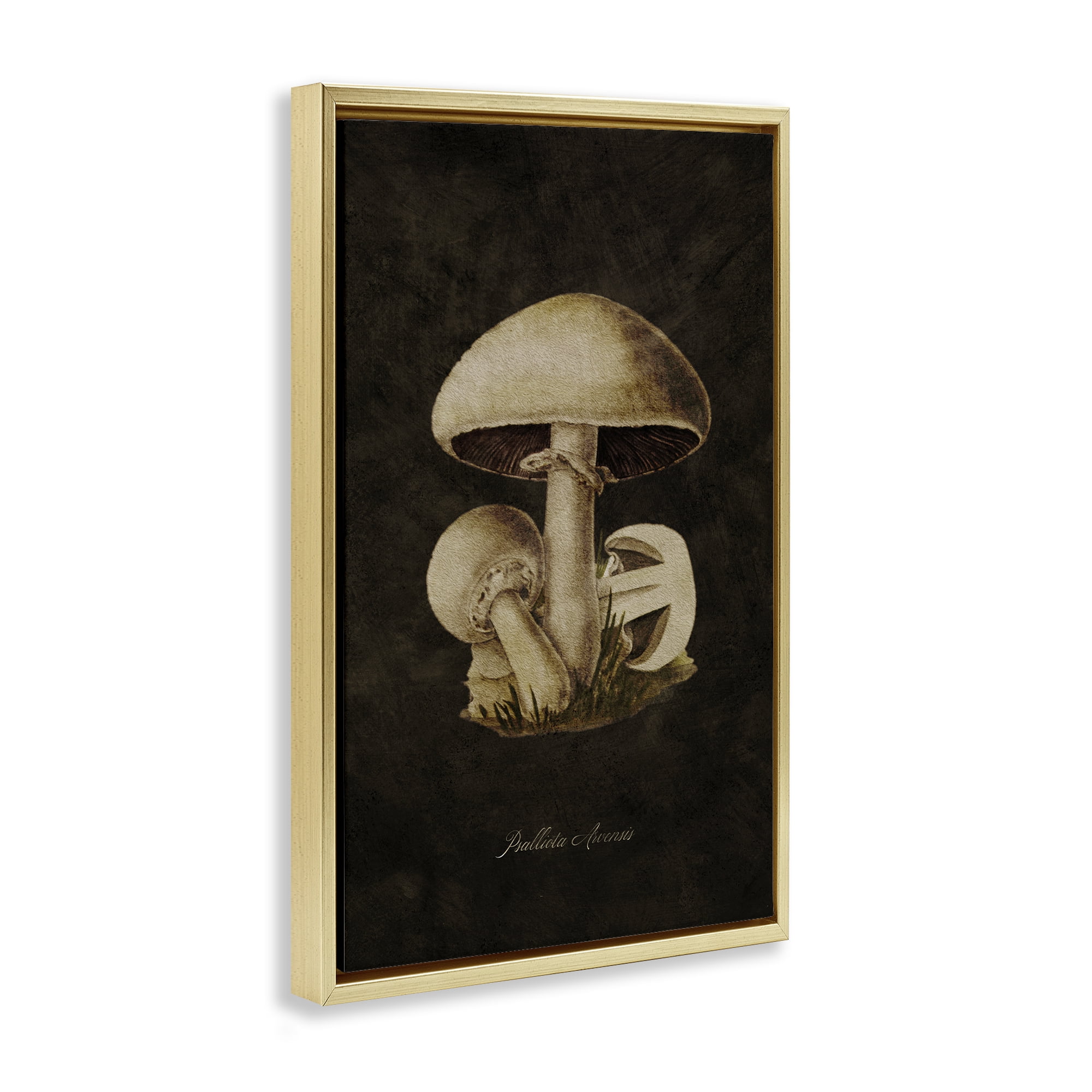 Stupell Industries Portobello Mushroom Study Plants & Flowers Painting Gold Floater Framed Canvas Art Print Wall Art, 17 x 25