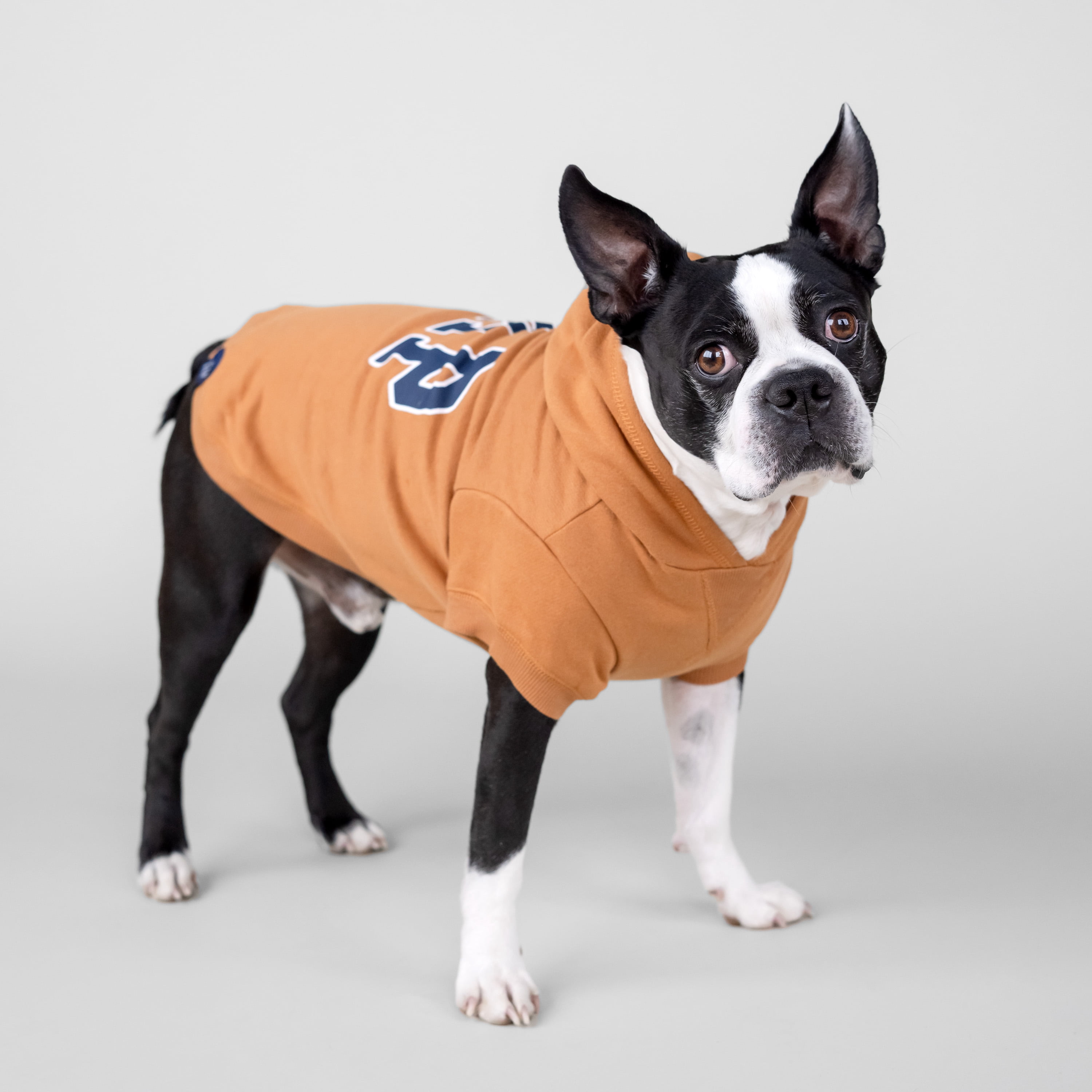 Gap Pet Dog Clothes, Classic Gap Logo Pet Hoodie, Brown, Large