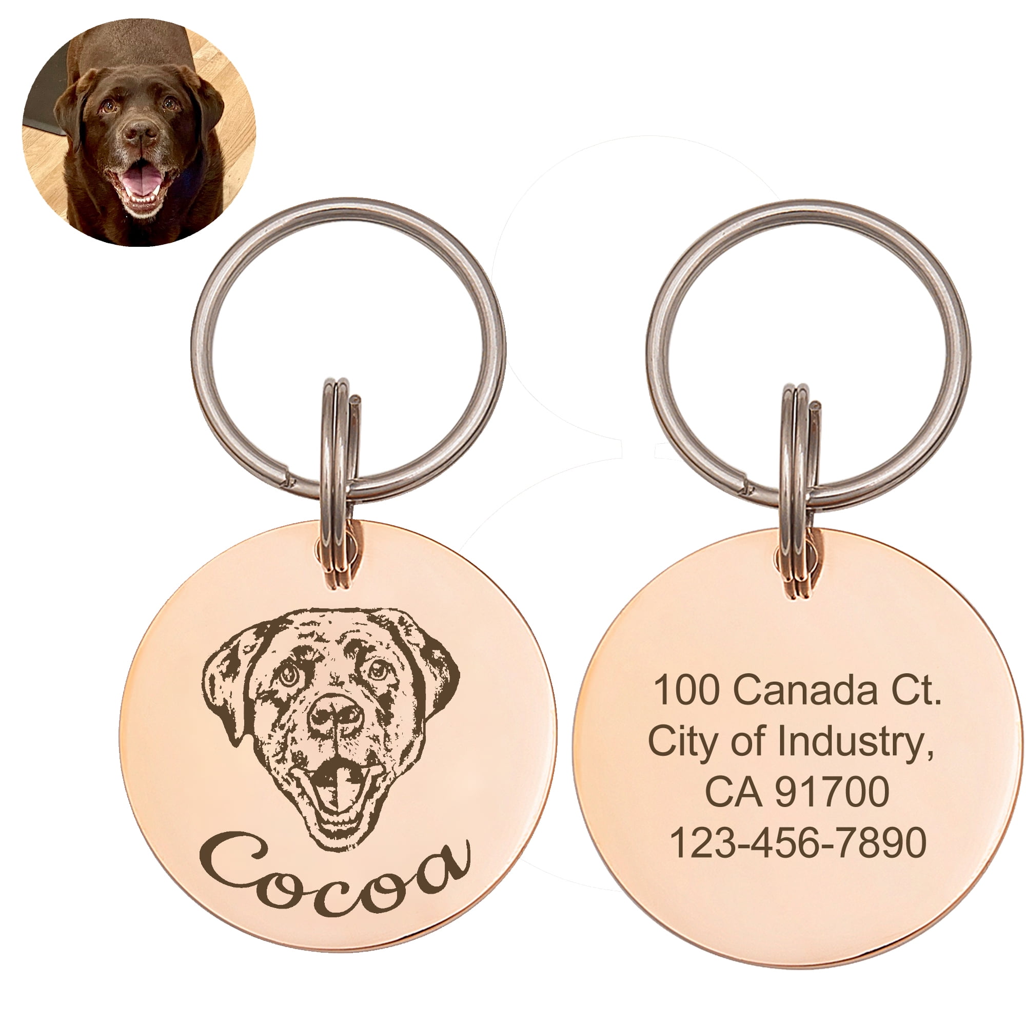 Dog Disc Engraved Custom Gift Dog Tag Personalised Stainless Steel Pet ID Tag 