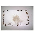 thumbnail image 5 of Sticky Glue Board Mouse Traps Bugs Spiders Cockroach Insects Trapper, 5 of 5