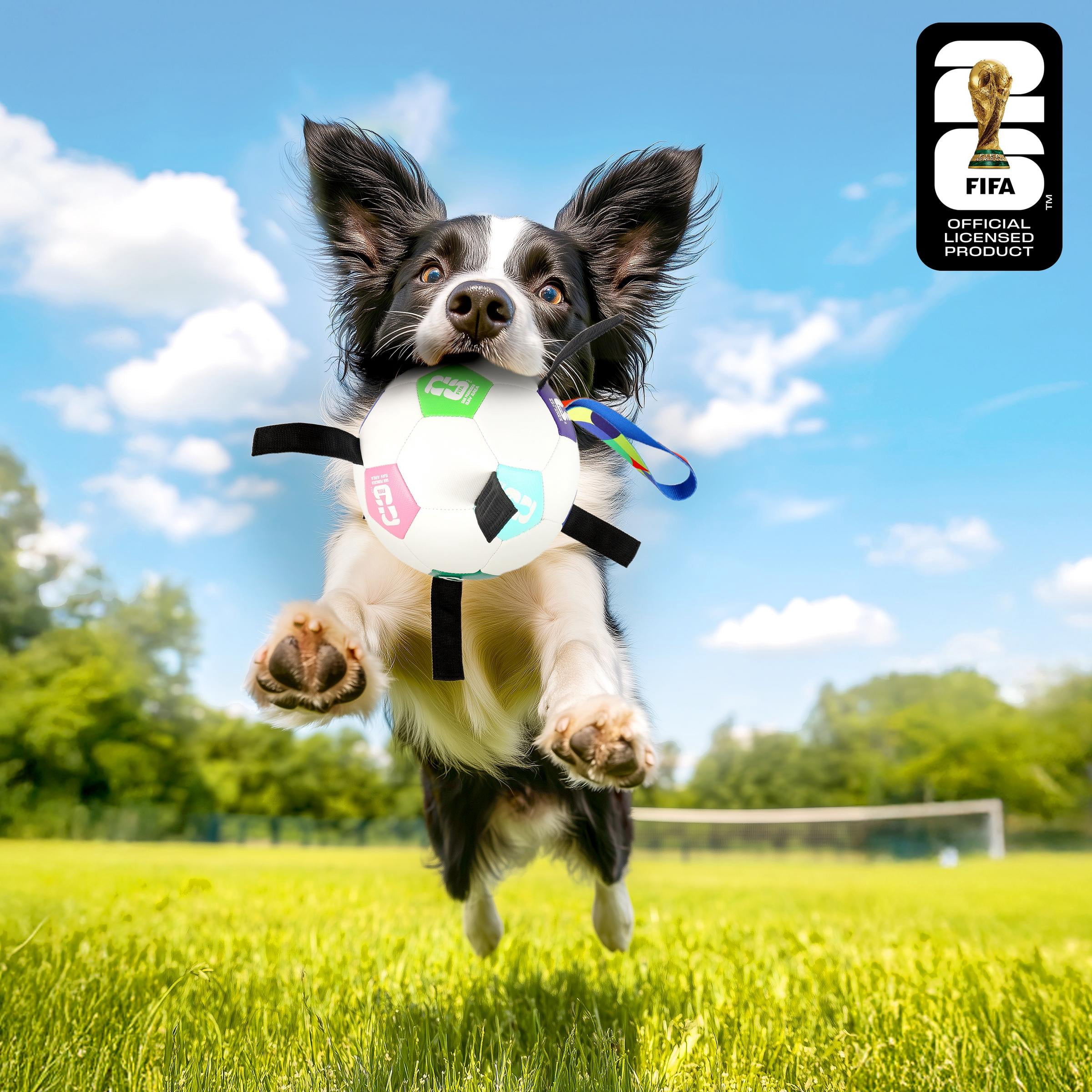 FIFA World Cup 2026 Pet Powergrip Soccer Ball Toy with Tethers for Dogs