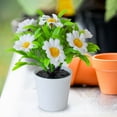 thumbnail image 3 of Ltdhehe Bonsai Desk Arrangement Home Centerpiece Wedding, 3 of 5