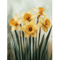 thumbnail image 1 of Qisvanset 12x16 Inch Yellow Daffodil Canvas Wall Art, Floral Bible Verse Housewarming Home Wall Gift, 1 of 8