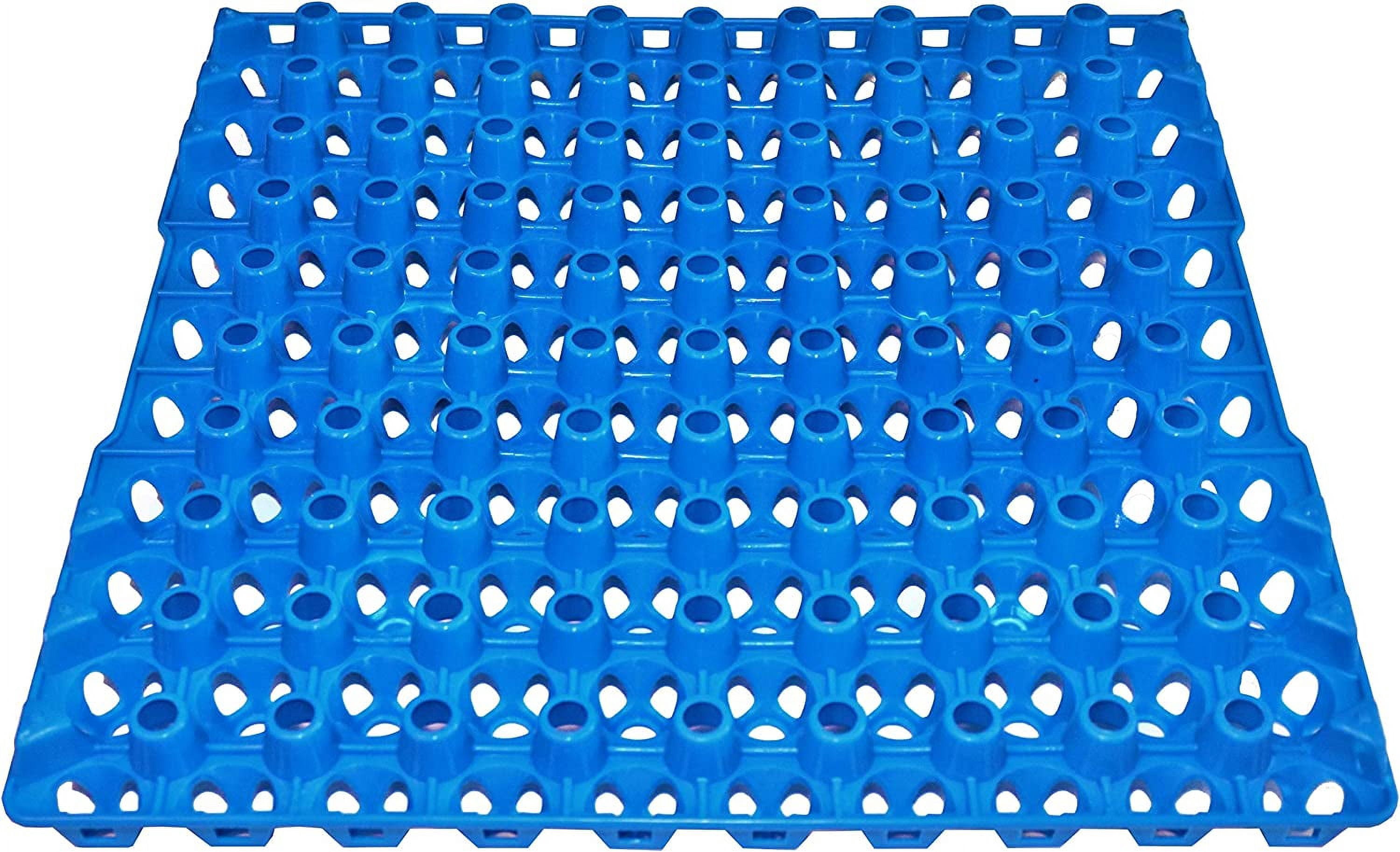 WJSP 6 Pack 90 Egg Plastic Trays 12.38x12.38x1.25in for Quail Pigeon Dove Bird Flat Carton Washable Heavy Duty