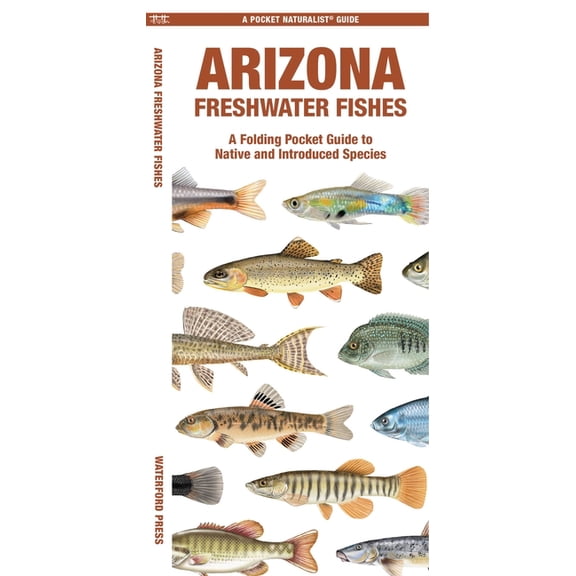 Nature Observation North : Arizona Freshwater Fishes : A Folding Pocket Guide to Native and Introduced Species (Other)