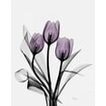 thumbnail image 2 of Koetsier, Albert 26x31 Black Ornate Wood Framed with Double Matting Museum Art Print Titled - Three Purple Tulips H14, 2 of 4