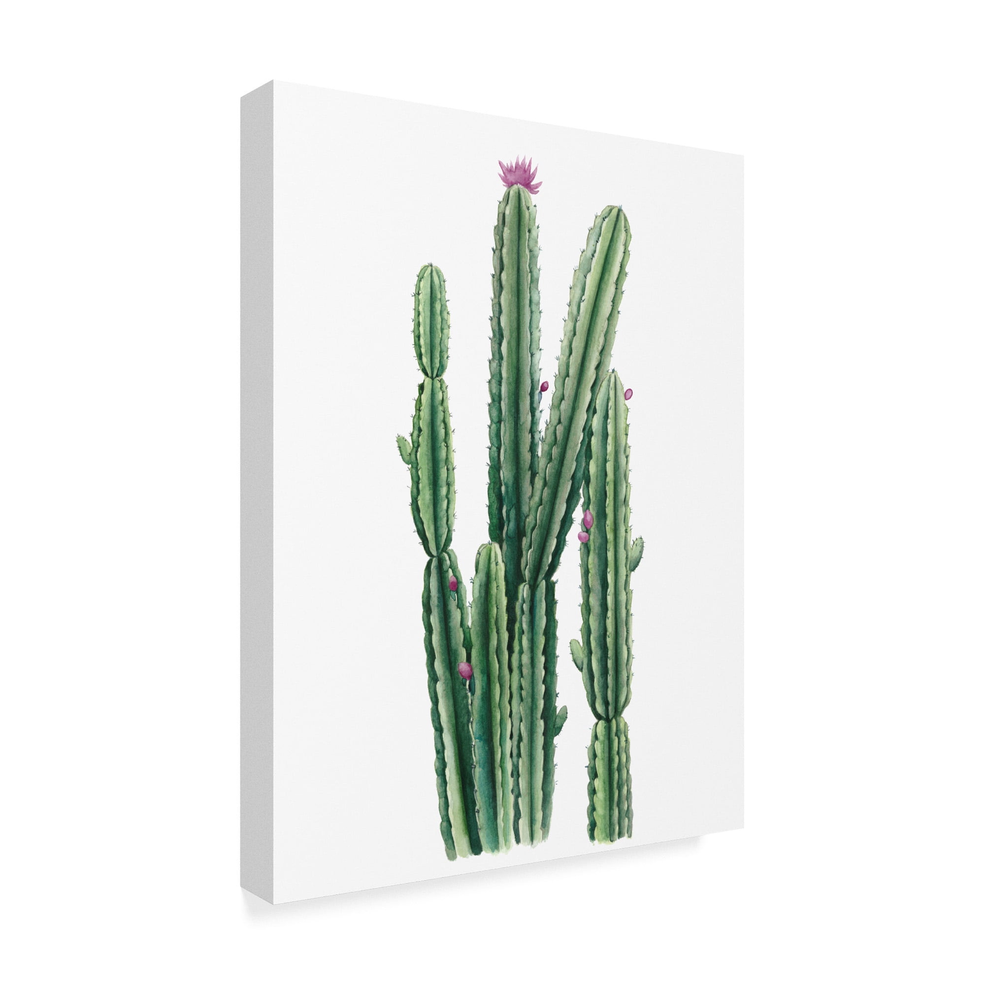 Trademark Fine Art 'Desert Blooms II' Canvas Art by Grace Popp