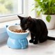 thumbnail image 4 of YiJuHui 2pcs Elevated Cat Food Bowl with Wide Shallow Design, Anti-Whisker Fatigue Pet Dish, Non-Slip Base for Mess-Free Feeding, Durable Plastic Pet Bowl for Comfortable Eating and Drinking, 4 of 6