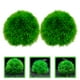 thumbnail image 3 of 2 bolas de plantas acuáticas para acuario, paisajismo, plantas acuáticas, bolas de hierba para jardín., 3 of 6