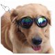 thumbnail image 1 of Dog UV Glasses Dog Goggles, Puppy Dog UV Glasses with Adjustable Strap, Anti-Fog Windproof Foldable Pet compatible Small Medium Dogs, 1 of 2