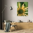 thumbnail image 3 of Erin Berzel 17x24 Gallery Wrapped Canvas Wall Art Titled - Echinacea I, 3 of 4