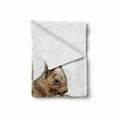 thumbnail image 2 of Squirrel Soft Flannel Fleece Throw Blanket, Engraved Style Squirrel Illustration Sketch Artwork Wildlife, Cozy Plush for Indoor and Outdoor Use, 50" x 60", Dark Brown Pale Brown, by Ambesonne, 2 of 6