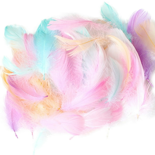 50 Pieces Set Natural Colorful DIY Feather Craft Toy Pluma Natural de Animal Material Manual DIY Decoración Juguete para Niños