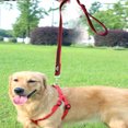 thumbnail image 4 of Dog collar and leash set, bright collar nylon and matching leash with cute fruit pattern, 4 of 5