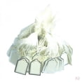 thumbnail image 1 of 1000 piezas Etiquetas de precio en blancas Etiqueta de escritura Joyería Ropa Mensaje Pantalla Tarjeta con cuerdas colgantes DYNWAVEMX Etiquetas de precio de cadena, 1 of 8