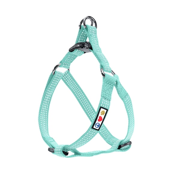 Arnés para perros Step-in Pawtitas, reflectante y ajustable, color verde azulado, talla XS
