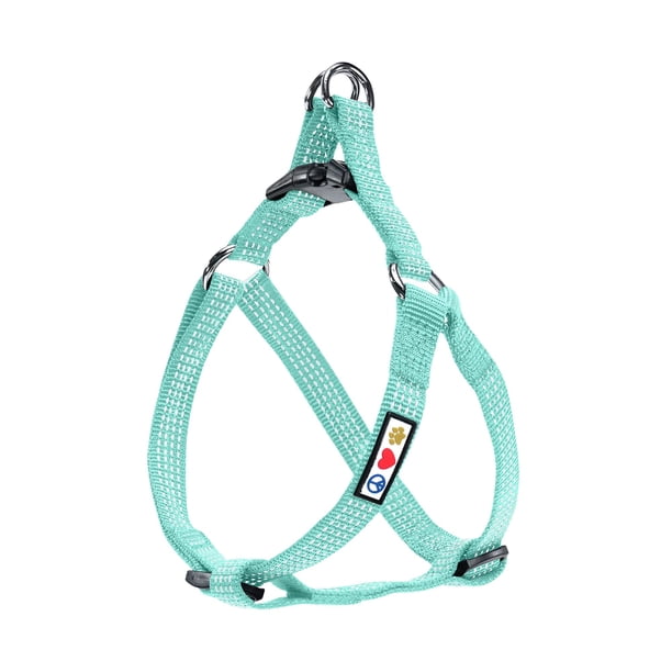 Arnés para perros Pawtitas, reflectante, ajustable en forma de S, color verde azulado