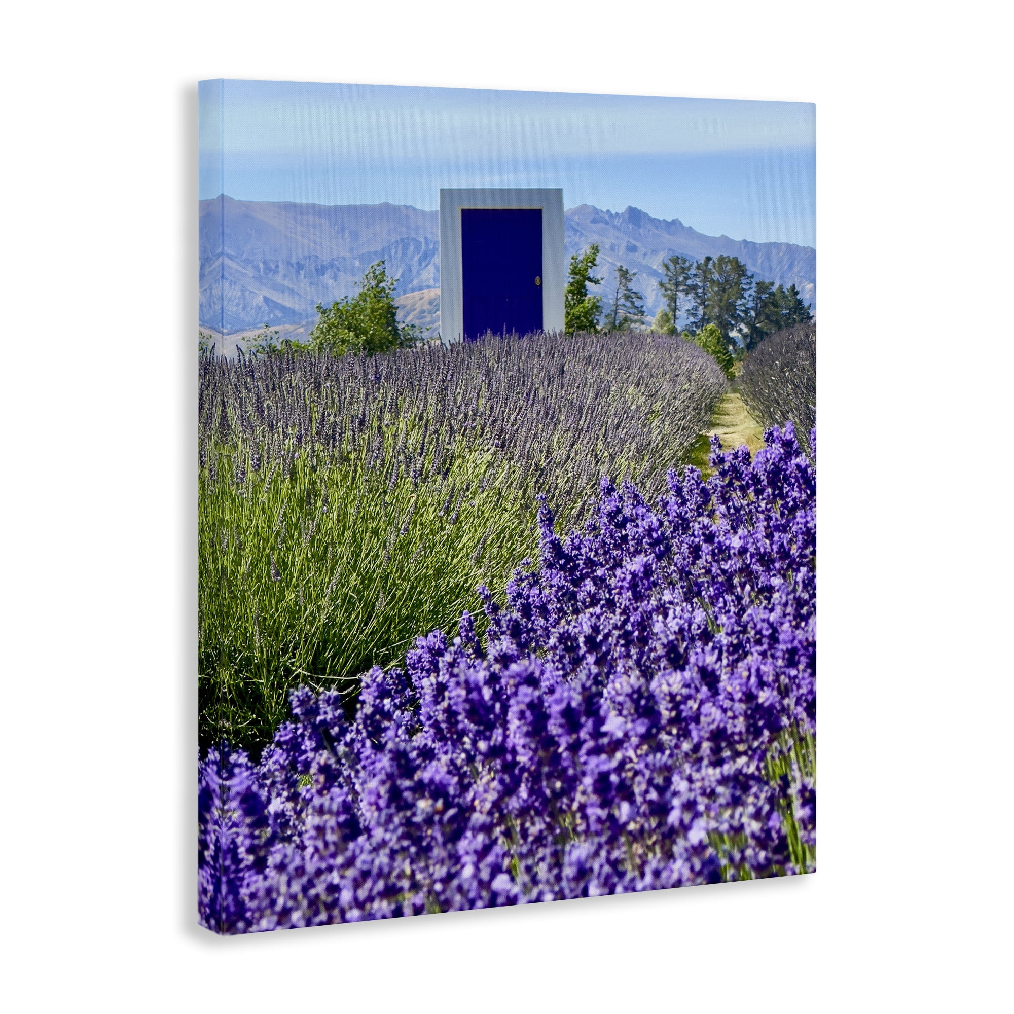 Stupell Industries Surreal Doorway Landscape Landscape Photography Gallery Wrapped Canvas Art Print Wall Art, 16 x 20