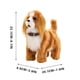 thumbnail image 3 of Juguete Interactivo de Imitación de Cachorro Wxa251213004 | Camina, Ladra, Mueve La Cola y Reproduce Música | Juguete de Tela Suave y Sensible Al Tacto para Niños Pequeños | Regalo Educativo para Cum, 3 of 5