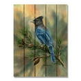 thumbnail image 4 of Day Dream DBSJ1420 14 x 20 in. Bartholets Stellers Jay Wall Art, 4 of 10