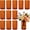 12 Pack 6 Inch - Amber, variant on Glass Cylinder Vases 6" X 4.7" Wide Mouth for Centerpieces