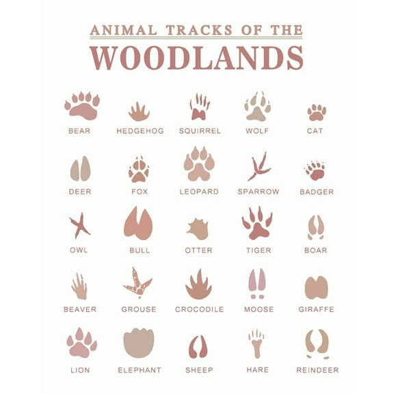 Boho Animal Tracks , Woodland Nursery Decor, Outdoor Adventure Print, Boy Room Decor, Classroom Wall Art, Forest Field Guide Boys Room Wall Art poster